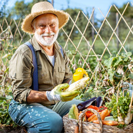 CATALOGUE DE PRODUITS AGRICOLES